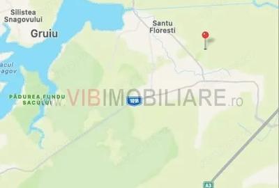 Teren de 21500 mp, în Gruiu - 3