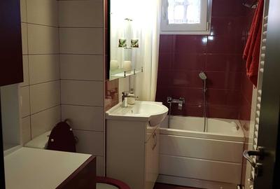 Apartament cu 2 camere semidecomandat în Podu Roș - 3