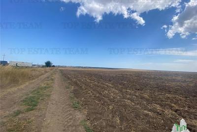 Teren Construcții intravilan de 24250 mp, în Mihail Kogălniceanu - 5