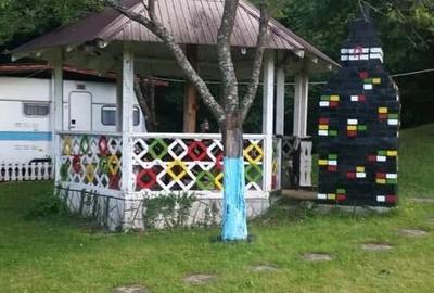 Casă cu Teren 4000 Mp în Central - 4