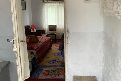 Casă cu Teren 2500 Mp în Luica - 3