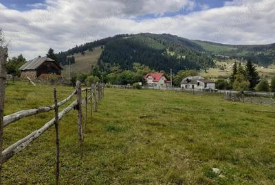 Teren de 4000 mp, în Dorna-Arini - 6