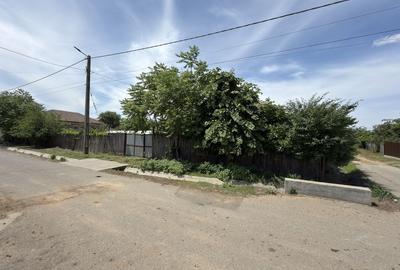 Casă cu 3 camere în Pătulele - 6