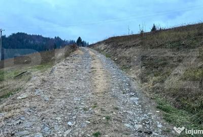 Teren de 2500 mp, în Colibița - 3