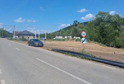 Casă cu Teren 8000 Mp în Panticeu - 4