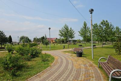 Teren Construcții intravilan de 5465 mp, în Topraisar - 18