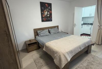 Garsonieră decomandată în Cantemir - 3