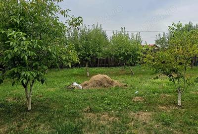 Casă cu 4 camere în Nisipoasa - 3