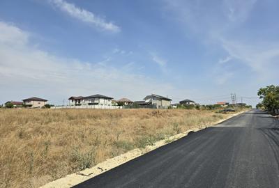 Teren Construcții intravilan de 8000 mp, în Lazu - 12