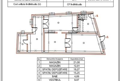 Casă cu Teren 300 Mp în Bucureștii Noi