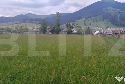 Casă cu 3 camere cu Teren 5747 Mp în Central - 7