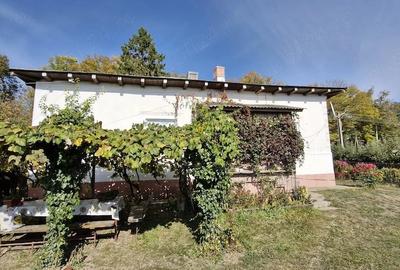 Casă cu 3 camere cu Teren 2000 Mp în Cristinești