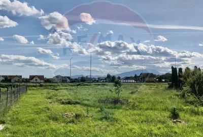Teren Construcții intravilan de 1000 mp, în Cristian - 9