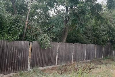 Casă cu 3 camere cu Teren 1186 Mp în Bala