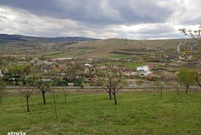 Teren de 16500 mp, în Sopor