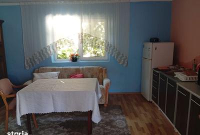 Casă cu 4 camere cu Teren 2877 Mp în Brazii - 19