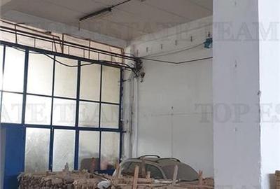 Spațiu industrial, de 4,346 mp, în Păcii - 7