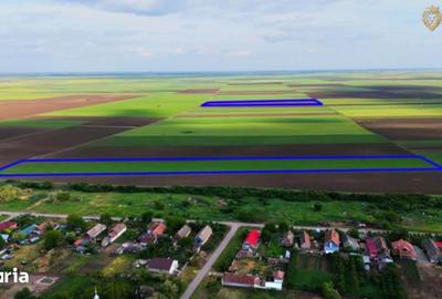 Teren de 68900 mp, în Secusigiu