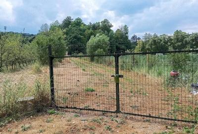 Teren de 3000 mp, în Ezeriș - 5