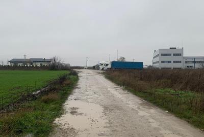 Teren Construcții intravilan de 30000 mp, în Ștefăneștii de Jos - 5