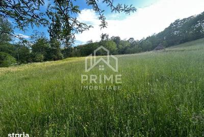 Teren de 12259 mp, în Central