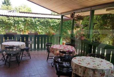 Spațiu comercial, de 450 mp, în Lugojului - 9