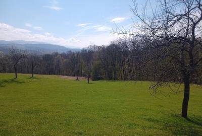 Teren de 17264 mp, în Pietroasa - 7