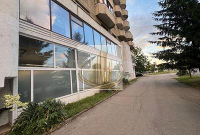 Spațiu comercial, de 760 mp, în Aradului