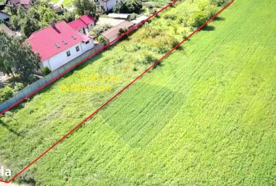 Teren de 5000 mp, în Gherăiești - 8