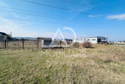 Teren agricol intravilan de 23148 mp, în Centura - 8