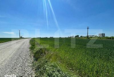 Teren de 25000 mp, în Pielești