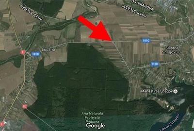 Teren de 3660 mp, în Ciolpani - 3