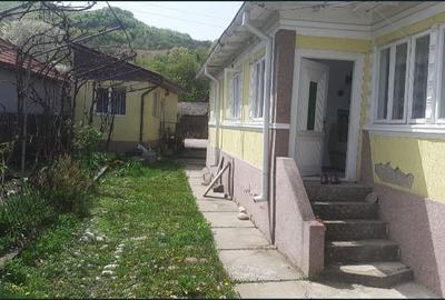 Casă individuală cu 3 camere cu Teren 4900 Mp în Cislău - 1