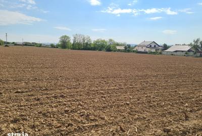 Teren de 1500 mp, în Măgura - 5