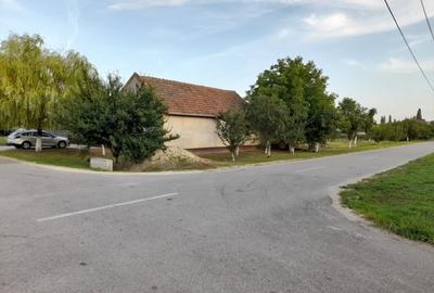 Casă individuală cu 4 camere cu Teren 1400 Mp în Șimand - 6