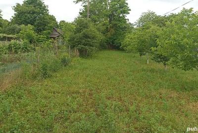 Teren de 790 mp, în Pârscov - 5