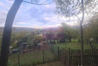 Casă cu 3 camere cu Teren 3410 Mp în Aluniș - 8