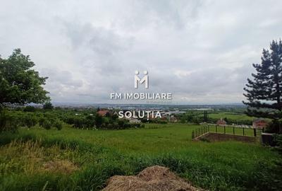 Teren agricol extravilan de 6330 mp, în Valea Borcutului - 2