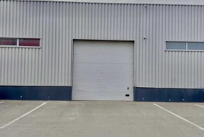 Spațiu comercial, de 450 mp, în Micălaca