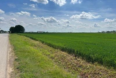 Teren agricol extravilan de 17000 mp, în Moara Vlăsiei - 1