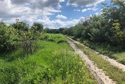 Teren extravilan de 7400 mp, în Zamfira - 3