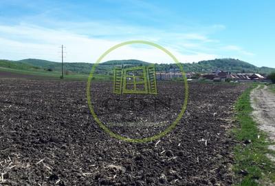 Teren agricol extravilan de 23300 mp, în Gușterița - 4