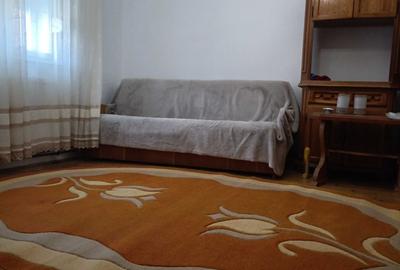 Casă cu 2 camere în Borș - 3