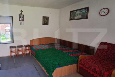 Casă individuală cu 2 camere cu Teren 3000 Mp în Veneția de Sus - 10