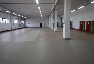 Spațiu industrial, de 1,575 mp, în Torontalului - 3