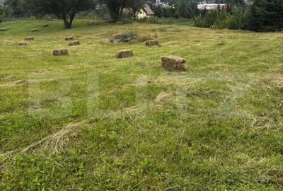 Teren de 12000 mp, în Central