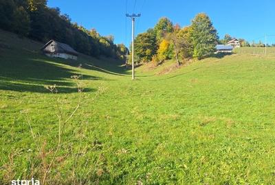 Teren de 16000 mp, în Dâmbovicioara