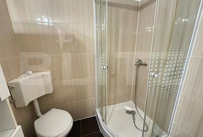 Apartament cu 2 camere semidecomandat, mobilat în Gojdu - 8