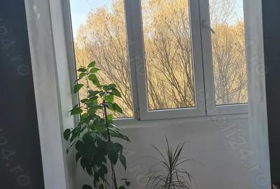 Apartament cu 2 camere în Poieni - 3