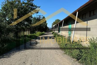 Spațiu industrial, de 1,061 mp, în Dumbrăvioara - 10